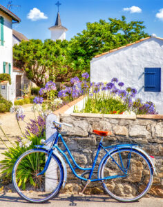 Sunny Village Ride Jigsaw Puzzle