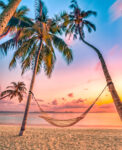 Sunset Hammock Jigsaw Puzzle