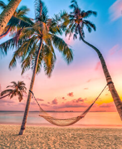 Sunset Hammock Jigsaw Puzzle