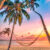 Sunset Hammock Jigsaw Puzzle