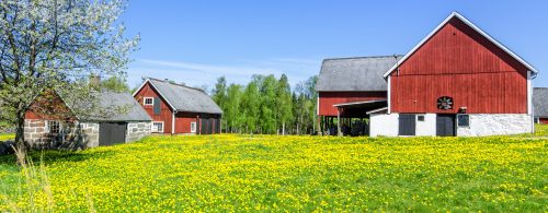 Swedish Farm Jigsaw Puzzle