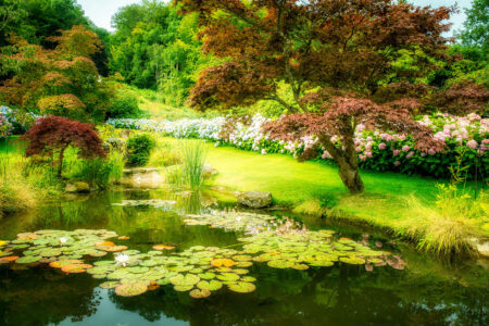 Swedish Garden Jigsaw Puzzle