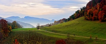 Swiss Country Road