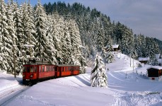 Swiss Train