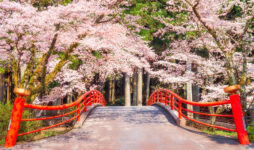 Taiseki-ji Bridge