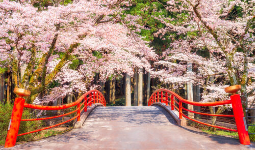 Taiseki-ji Bridge Jigsaw Puzzle