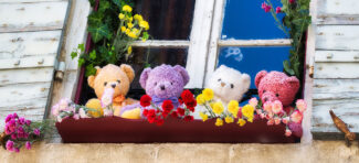 Teddy Bear Buddies