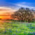 Texas Sunrise Jigsaw Puzzle