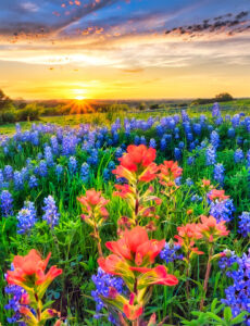 Texas Sunset Jigsaw Puzzle
