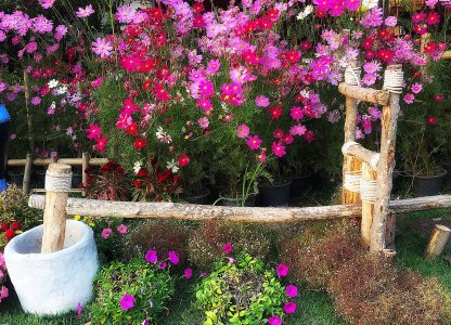 Thai Flower Garden Jigsaw Puzzle