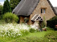 Thatched Cottage