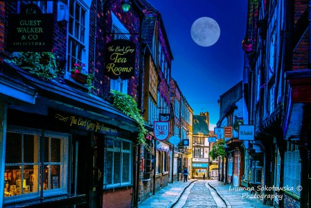 The Shambles Jigsaw Puzzle