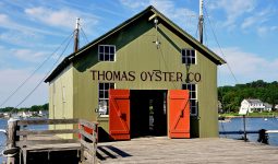 Thomas Oyster