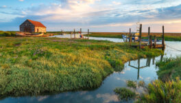 Thornham Marshes