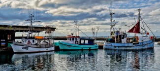 Three Docked Boats