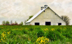 Three Door Barn