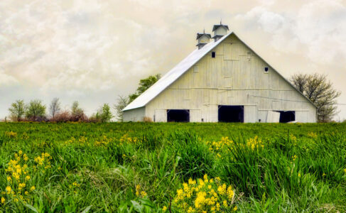 Three Door Barn Jigsaw Puzzle