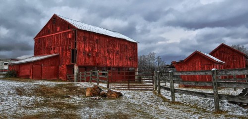 Three Red Barns Jigsaw Puzzle