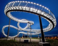 “Tiger and Turtle”