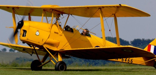 Tiger Moth Jigsaw Puzzle