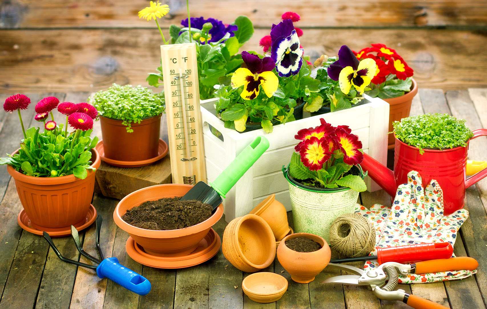 Time To Garden Jigsaw Puzzle