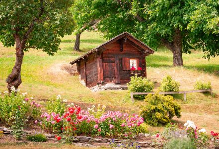 Tiny Cabin Jigsaw Puzzle