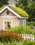 Tiny Garden House