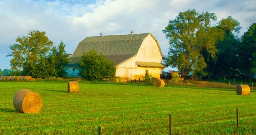 Tipton County Barn Jigsaw Puzzle