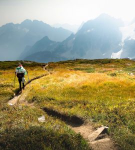 To the Mountains Jigsaw Puzzle