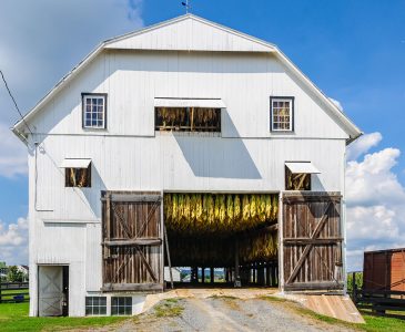 Tobacco Barn Jigsaw Puzzle