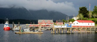 Tofino Waterfront