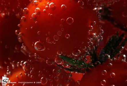 Tomatoes Jigsaw Puzzle