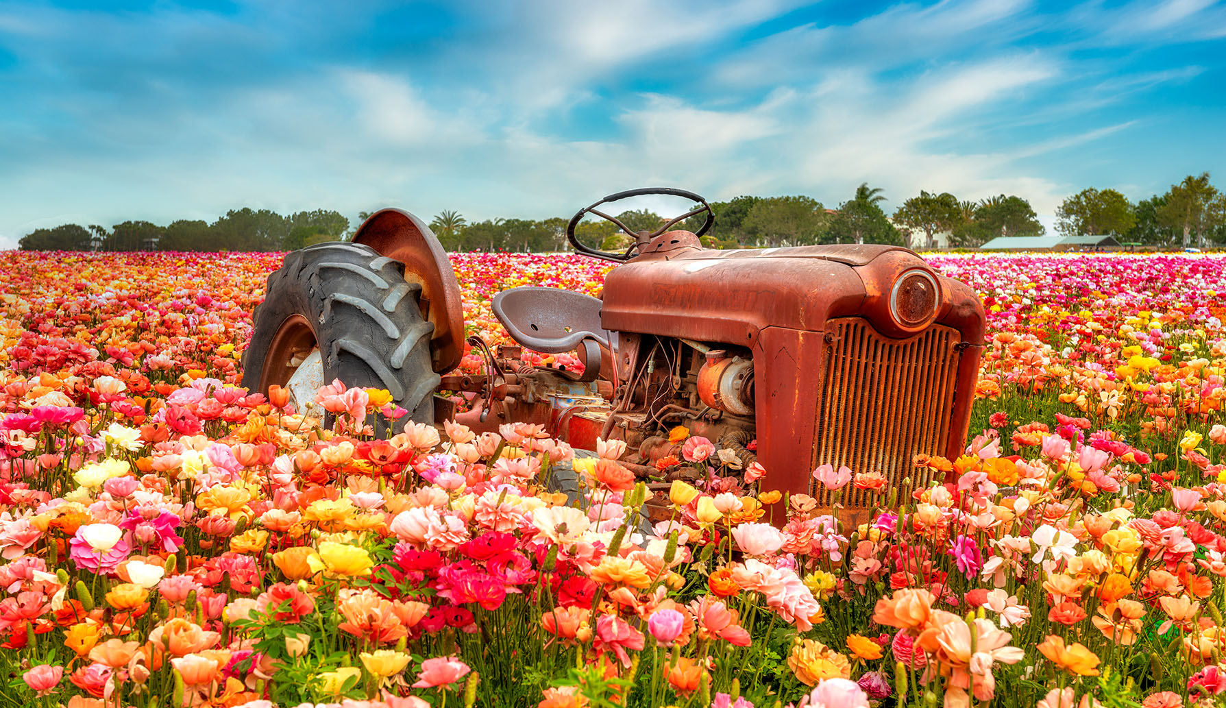 tractor-in-the-flowers-jigsaw-puzzle