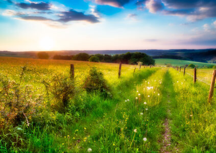 Tractor Trail Jigsaw Puzzle