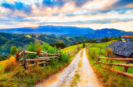 Transylvania Road Jigsaw Puzzle