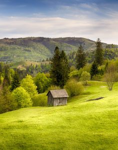 Transylvania Shed Jigsaw Puzzle