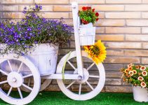 Tricycle and Flowers