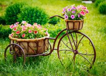 Tricycle with Flowers