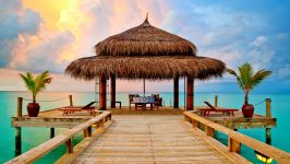 Tropical Beach Hut