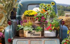 Truck Bed Flowers
