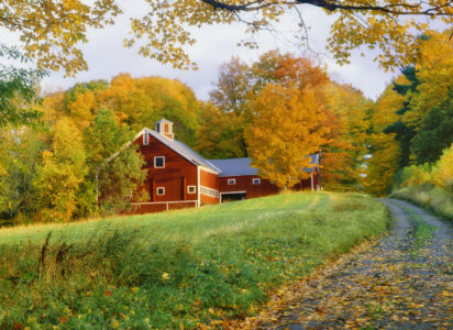 Tucked Away Barn Jigsaw Puzzle