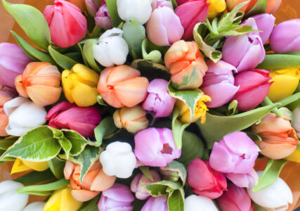 Tulip Bouquet Jigsaw Puzzle