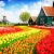 Tulip Field Jigsaw Puzzle