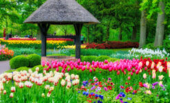 Tulip Garden Well