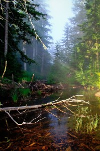 Tumble Lake Jigsaw Puzzle