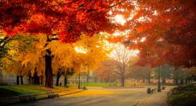 Turin Autumn