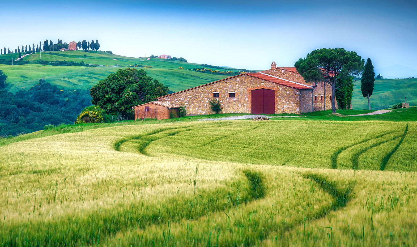 Tuscany field jigsaw puzzle