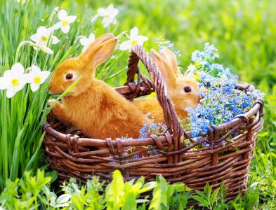 Two Rabbits Jigsaw Puzzle