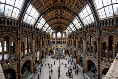 UK Natural History Museum Jigsaw Puzzle