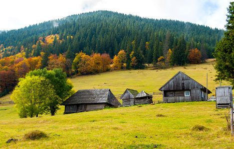 Ukrainian Farm Jigsaw Puzzle